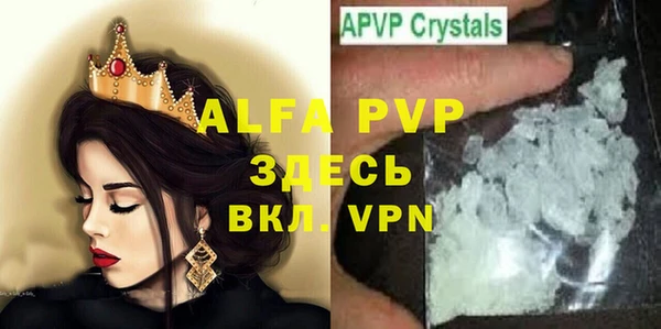 сатива Белокуриха