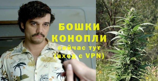 дурь Ступино