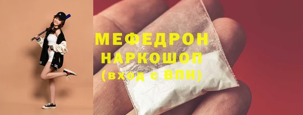 индика Беломорск
