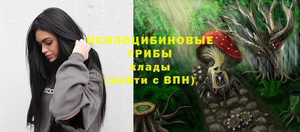 индика Беломорск