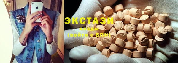 индика Беломорск