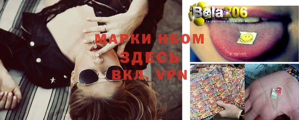 индика Беломорск