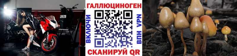 Галлюциногенные грибы MAGIC MUSHROOMS  Губкинский 